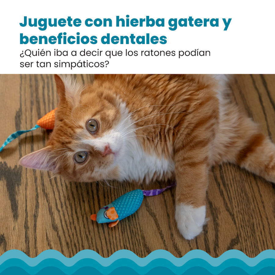 Catstages Chew Rato com Catnip para gatos, , large Imagem n&uacute;mero 6