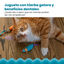 Outward Hound Catstages Chew Rato com Catnip para gatos, , large Indicador imagem número 6