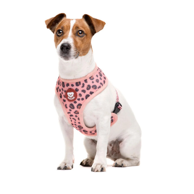 Dukier Peitoral reversível com estampado de leopardo para cães,  Imagem número 2 Dukier Peitoral reversível com estampado de leopardo para cães, , large Imagem número 2