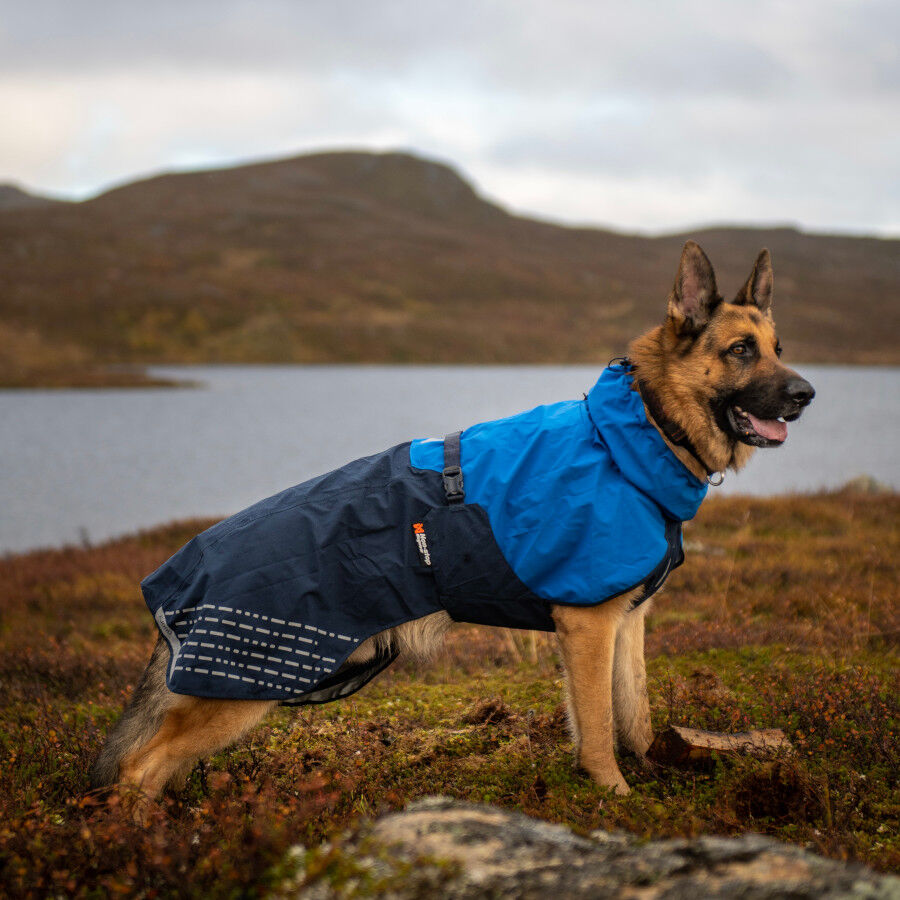 Non-stop dogwear Fjord Capa de chuva imperme&aacute;vel azul para c&atilde;es, , large Imagem n&uacute;mero 6