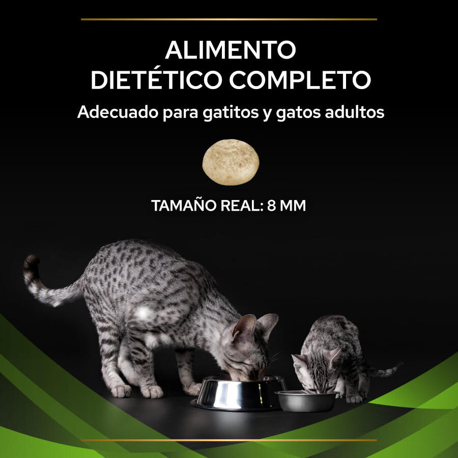 1.3 kg Pro Plan Veterinary Diets Hypoallergenic HA ra&ccedil;&atilde;o para gatos, , large Imagem n&uacute;mero 3