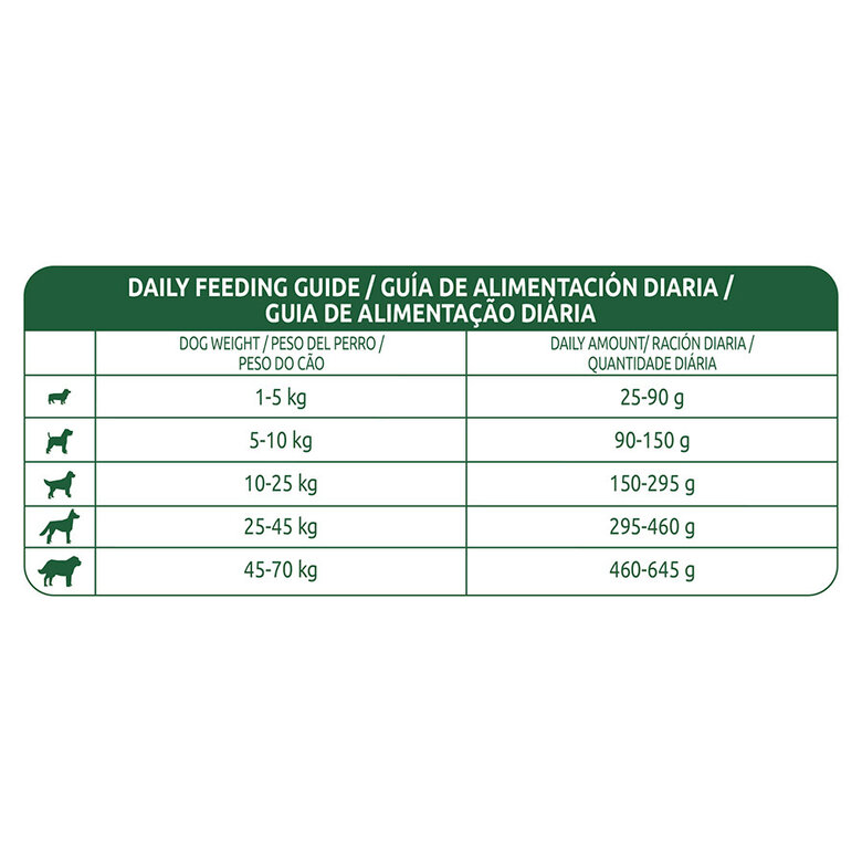 Affinity Libra Adult salmão ração para cães, , large image number null