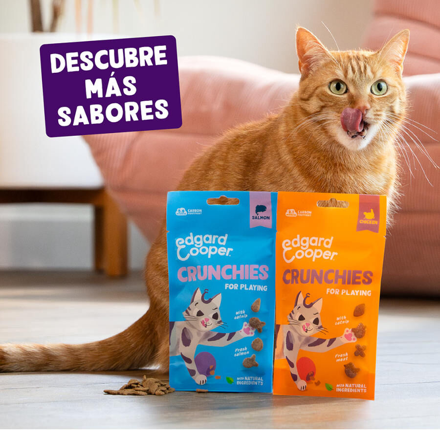 50 g Edgard & Cooper Crunchies Snack de salm&atilde;o para gatos, , large Imagem n&uacute;mero 7