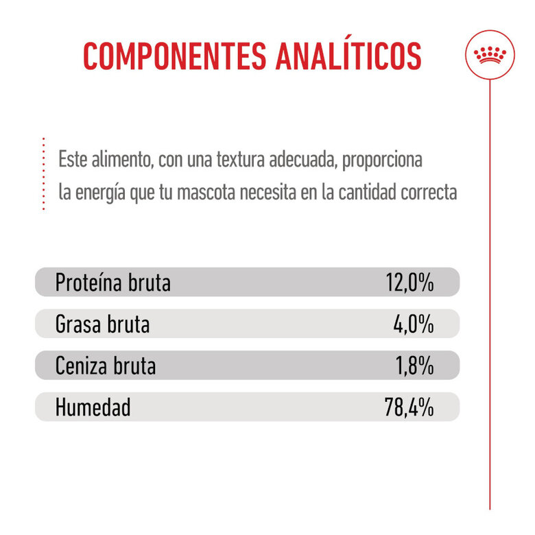 85 g Royal Canin Kitten patê em saquetas para gatos,  Imagem número 9 85 g Royal Canin Kitten patê em saquetas para gatos, , large Imagem número 9