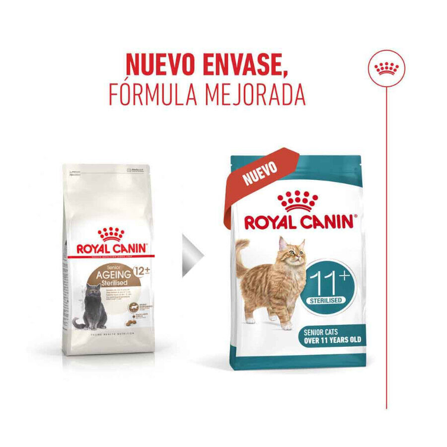 2 kg Royal Canin Ageing 11+ Sterilised ra&ccedil;&atilde;o para gatos, , large Imagem n&uacute;mero 3