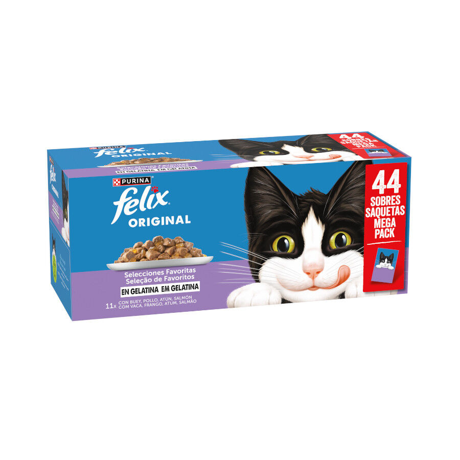 44 saquetas x 85 g Felix Original Sele&ccedil;&atilde;o de favoritos Comida h&uacute;mida em saquetas em gelatina - Multipack, , large Imagem n&uacute;mero 1