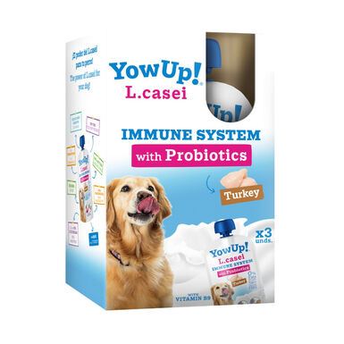 YowUp! L.Casei Peru Iogurte para cães – Pack 3