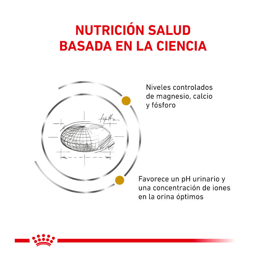 7 kg Royal Canin Veterinary Urinary ra&ccedil;&atilde;o para gatos, , large Imagem n&uacute;mero 3