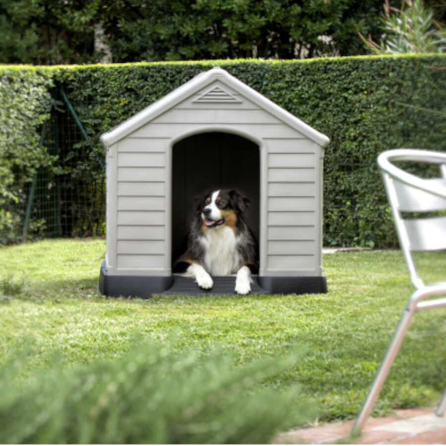 Curver Casota para c&atilde;es, , large Imagem n&uacute;mero 1