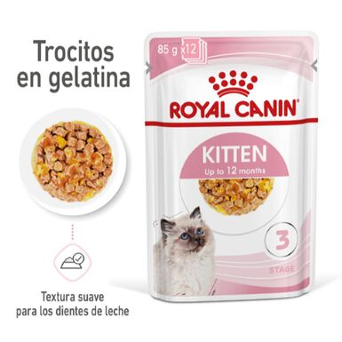 Royal Canin Kitten geleia sobre para gatos - Pack 12 
