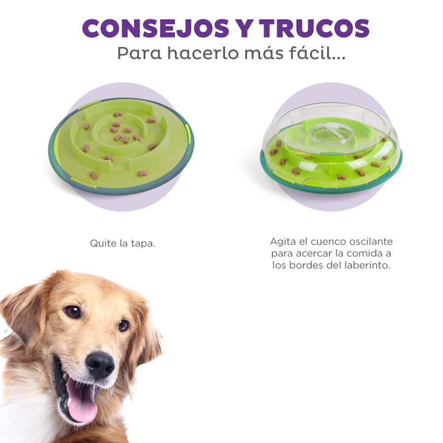 Outward Hound Wobble Bowl Brinquedo interativo com dispensador de snacks para c&atilde;es, , large Imagem n&uacute;mero 5