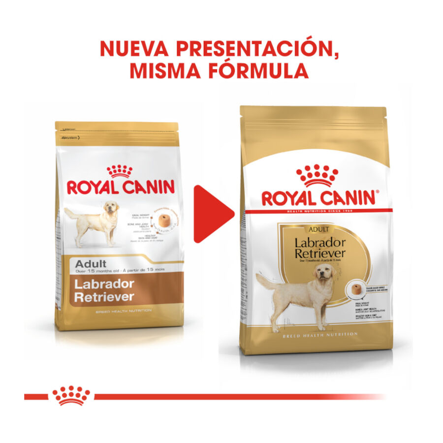 2 x 12 kg Royal Canin Adult Labrador Retriever ra&ccedil;&atilde;o para c&atilde;es Pack poupan&ccedil;a!, , large Imagem n&uacute;mero 3
