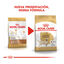 12 kg Royal Canin Adult Labrador Retriever ração para cães, , large Indicador imagem número 3