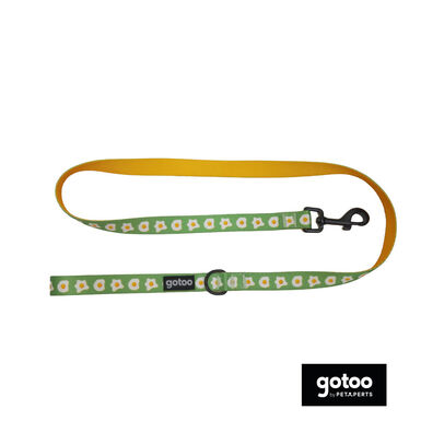 Gotoo Trela estampada verde para cães