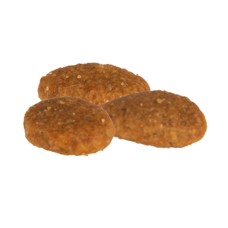 12 kg Criadores C&atilde;es Rafeiros Peru ra&ccedil;&atilde;o para c&atilde;es de porte m&eacute;dio, , large Imagem n&uacute;mero 2