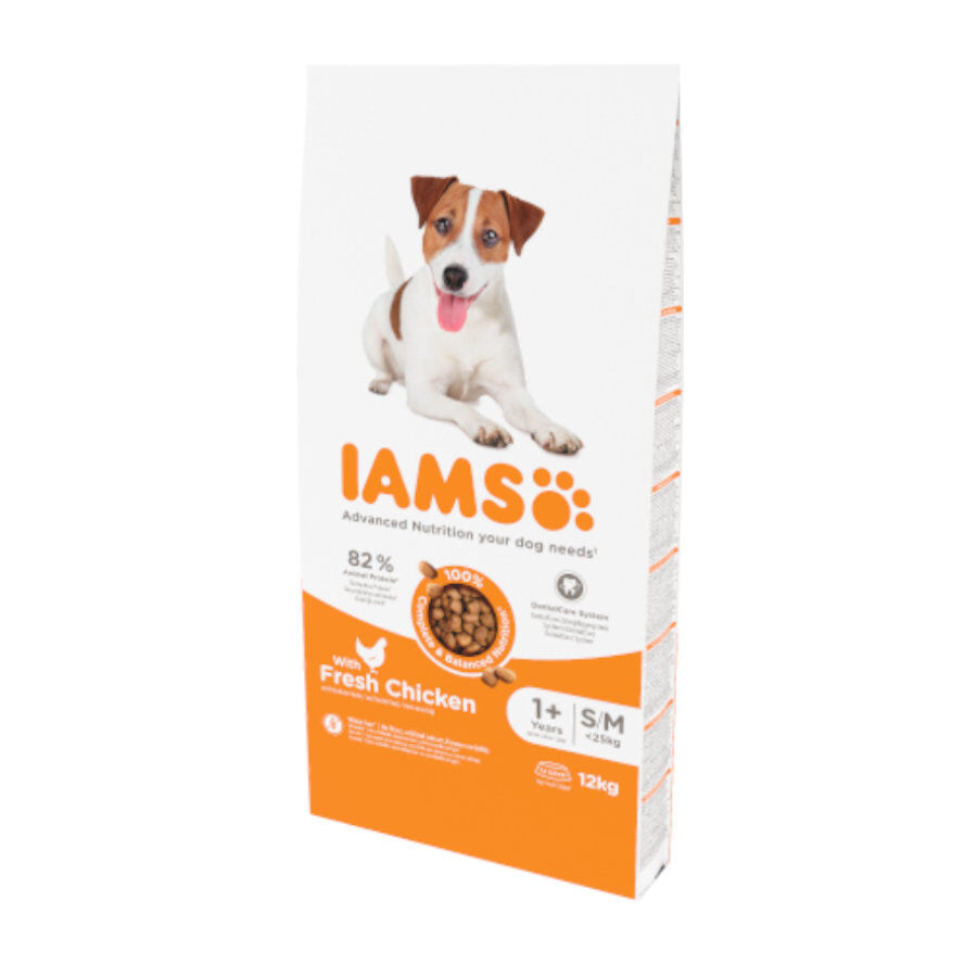 12 kg IAMS for Vitality Adult Mini&Medium Proactive Frango ra&ccedil;&atilde;o para c&atilde;es, , large Imagem n&uacute;mero 1
