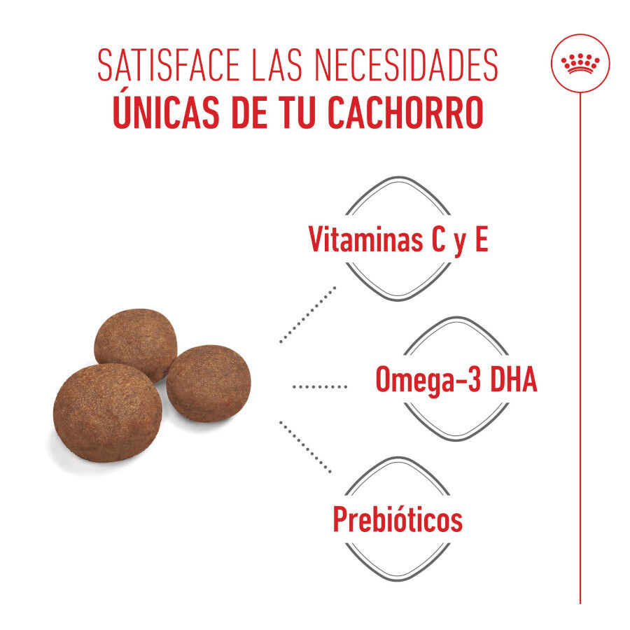 15 kg Royal Canin Puppy Medium ra&ccedil;&atilde;o para c&atilde;es, , large Imagem n&uacute;mero 4