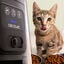 Cecotec Pumba 8600 Comedouro autom&aacute;tico para gatos e c&atilde;es, , large Indicador imagem n&uacute;mero 4