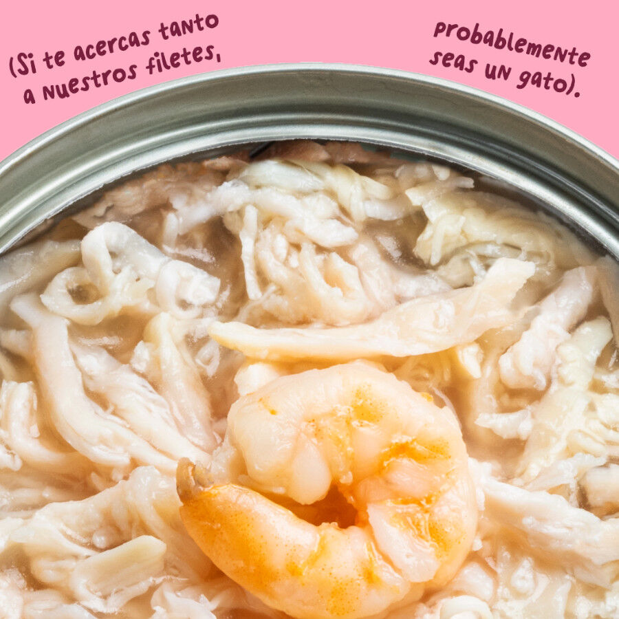 70 g Edgard & Cooper Filetes de Pollo y Gambas Lata para gatos, , large Imagem n&uacute;mero 5