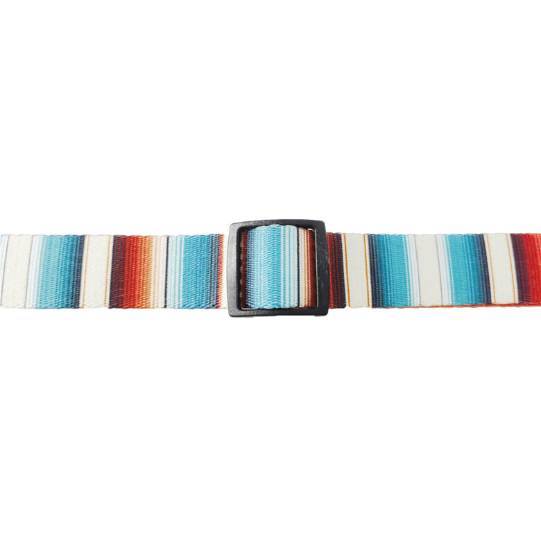 Gotoo Coleira estampada com riscas coloridas para cães,  Imagem número 4 Gotoo Coleira estampada com riscas coloridas para cães, , large Imagem número 4