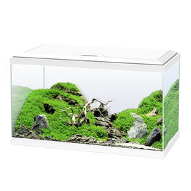 Ciano Aqua Led 60 Aqu&aacute;rio Branco com luz led, filtro e aquecedor