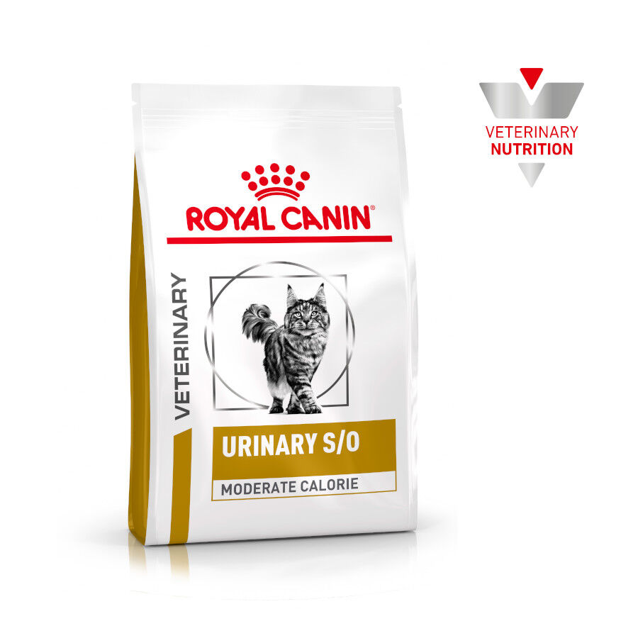 3.5 kg Royal Canin Veterinary Urinary Moderate Calorie ra&ccedil;&atilde;o para gatos , , large Imagem n&uacute;mero 2