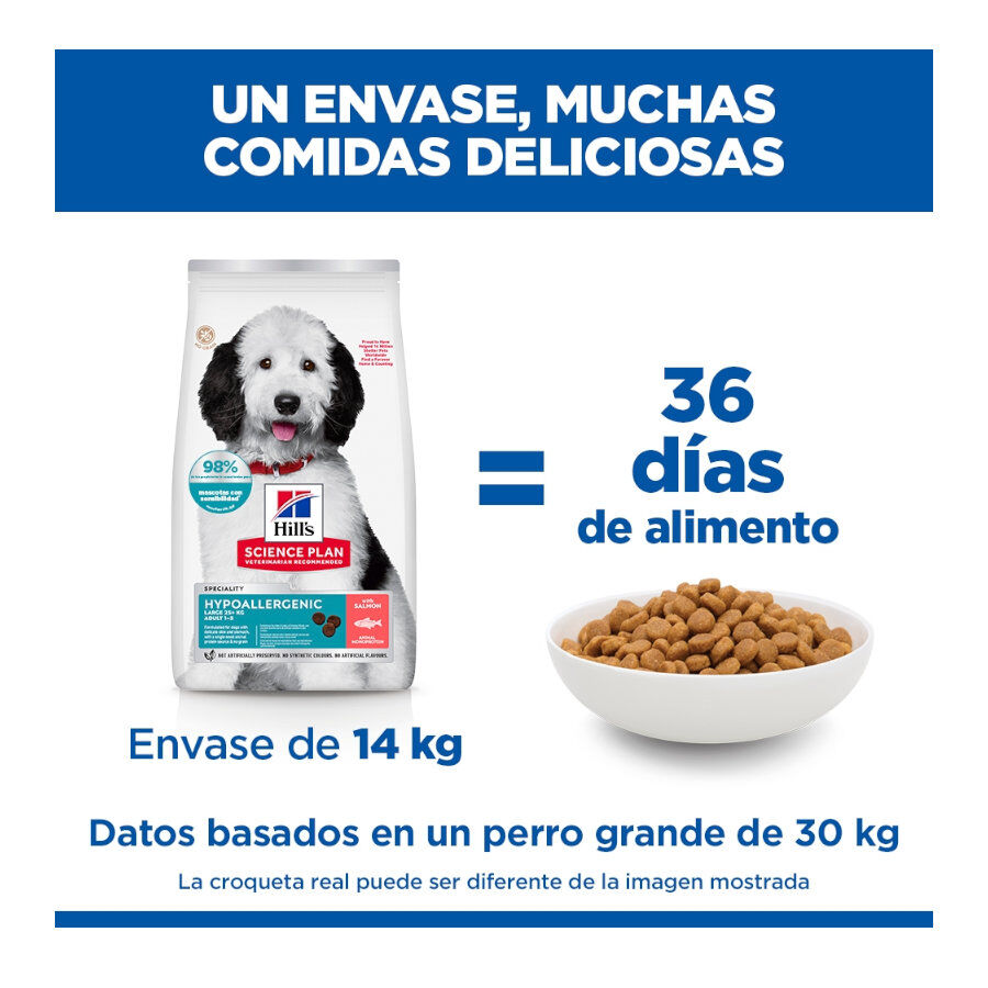 14 kg Hill's Science Plan Hipoalerg&eacute;nico Large Salm&atilde;o ra&ccedil;&atilde;o para c&atilde;es, , large Imagem n&uacute;mero 6