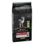 12 kg Pro Plan Puppy  Medium Digestão Cordeiroração para cães, , large Indicador imagem número 1