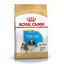 Royal Canin Puppy Shih Tzu ração para cães, , large Indicador imagem número 1