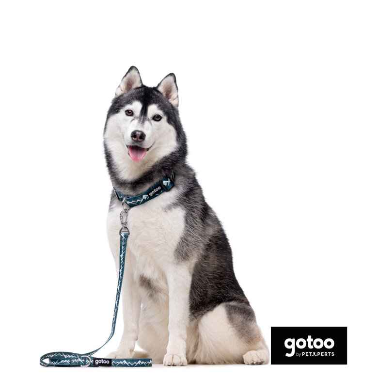 Gotoo trela com mosquetão de segurança verde para cães,  Imagem número 3 Gotoo trela com mosquetão de segurança verde para cães, , large Imagem número 3