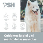 PSH CBD Fusion Champô para cães e gatos, , large image number null