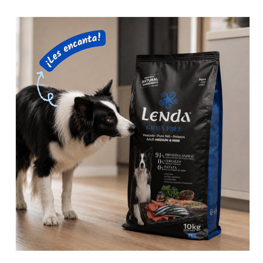 10 kg Lenda Grain Free Ra&ccedil;&atilde;o de Peixe e Krill para c&atilde;es, , large Imagem n&uacute;mero 5