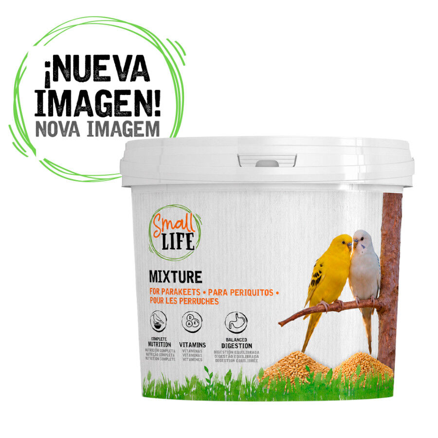 3.7 kg Small Life Mixtura Cubos para periquitos, , large Imagem n&uacute;mero 1