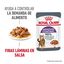 85 g Royal Canin Nutrition Appetite Control Care geleia para gatos, , large Indicador imagem número 4