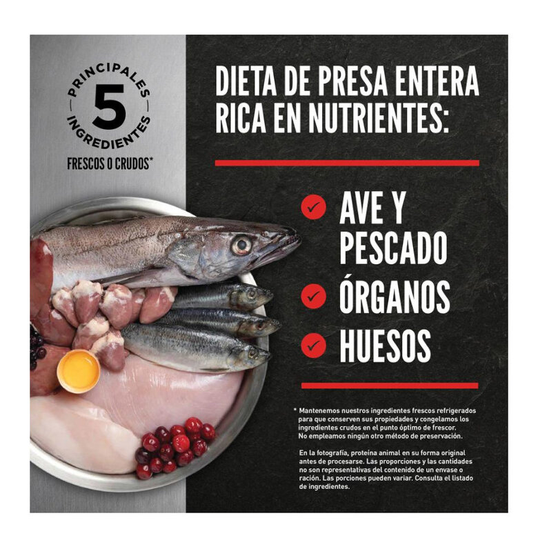 11 kg Orijen Six Fish Adult ração para cães,  Imagem número 3 11 kg Orijen Six Fish Adult ração para cães, , large Imagem número 3