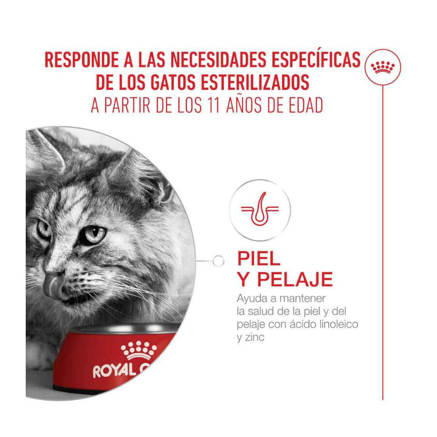 2 kg Royal Canin Ageing 11+ Sterilised ra&ccedil;&atilde;o para gatos, , large Imagem n&uacute;mero 5