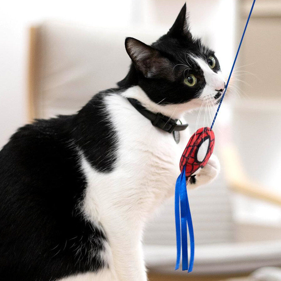 Disney Marvel Spiderman Cana para gatos, , large Imagem n&uacute;mero 5