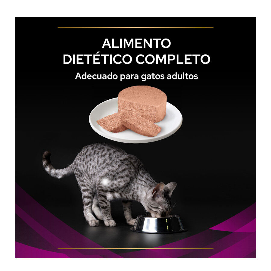 195 g Pro Plan Veterinary Diets Urinary latas para gatos, , large Imagem n&uacute;mero 3