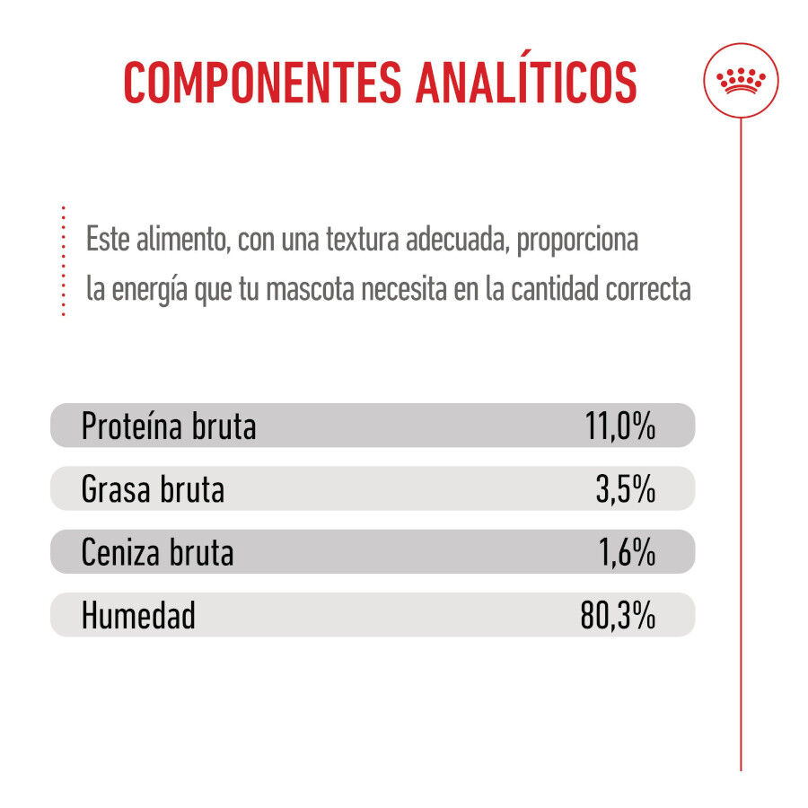 12 saquetas x 85 g Royal Canin Kitten Sterilised alimento h&uacute;mido em molho saquetas para gatos Pack poupan&ccedil;a!, , large Imagem n&uacute;mero 9