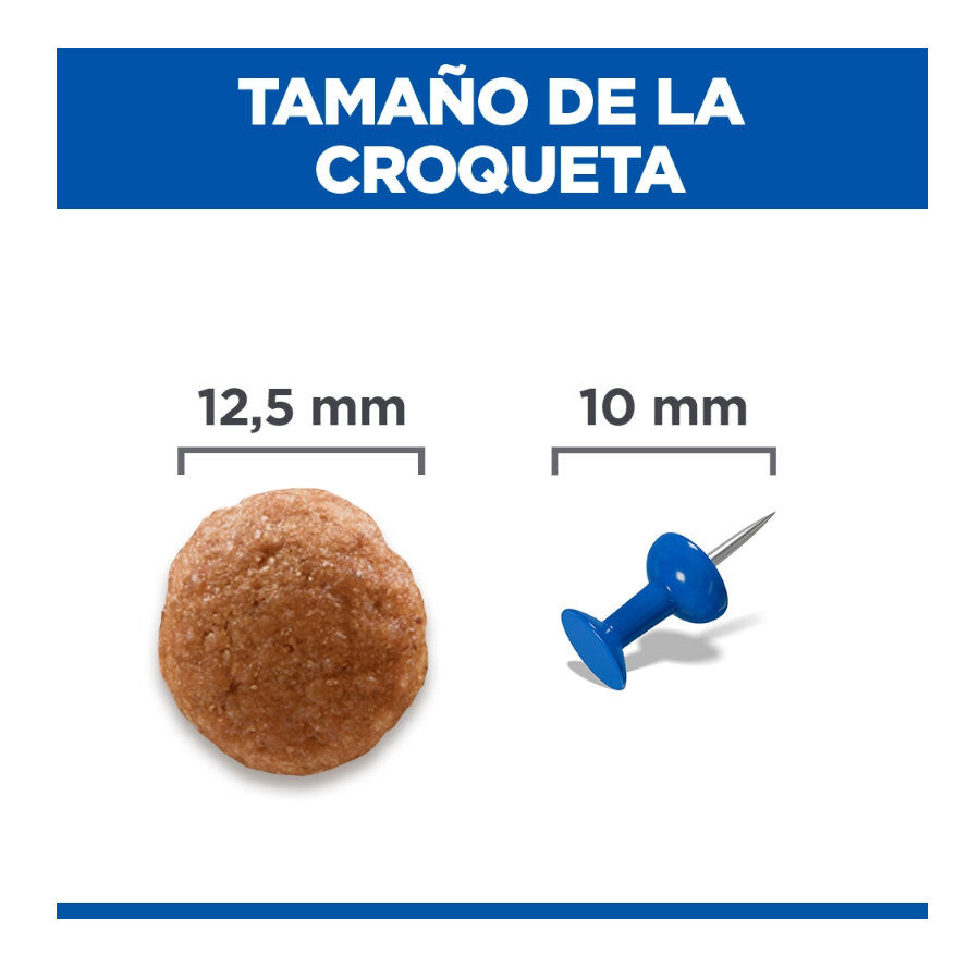2.5 kg Hill'sScience Plan Perfect Digestion Medium Adult Ra&ccedil;&atilde;o de frango para c&atilde;es, , large Imagem n&uacute;mero 4