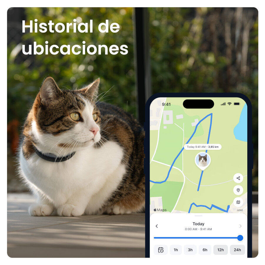 Tractive CAT 6 Mini Preto GPS para gatos, , large Imagem n&uacute;mero 3