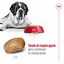 15 kg Royal Canin Adult Giant ração para cães, , large Indicador imagem número 7
