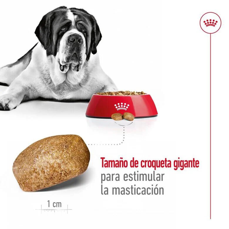 15 kg Royal Canin Adult Giant ração para cães,  Imagem número 7 15 kg Royal Canin Adult Giant ração para cães, , large Imagem número 7