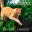 10 kg Catxtreme Adult Outdoors Pollo pienso para gatos, , large Indicador imagem número 4