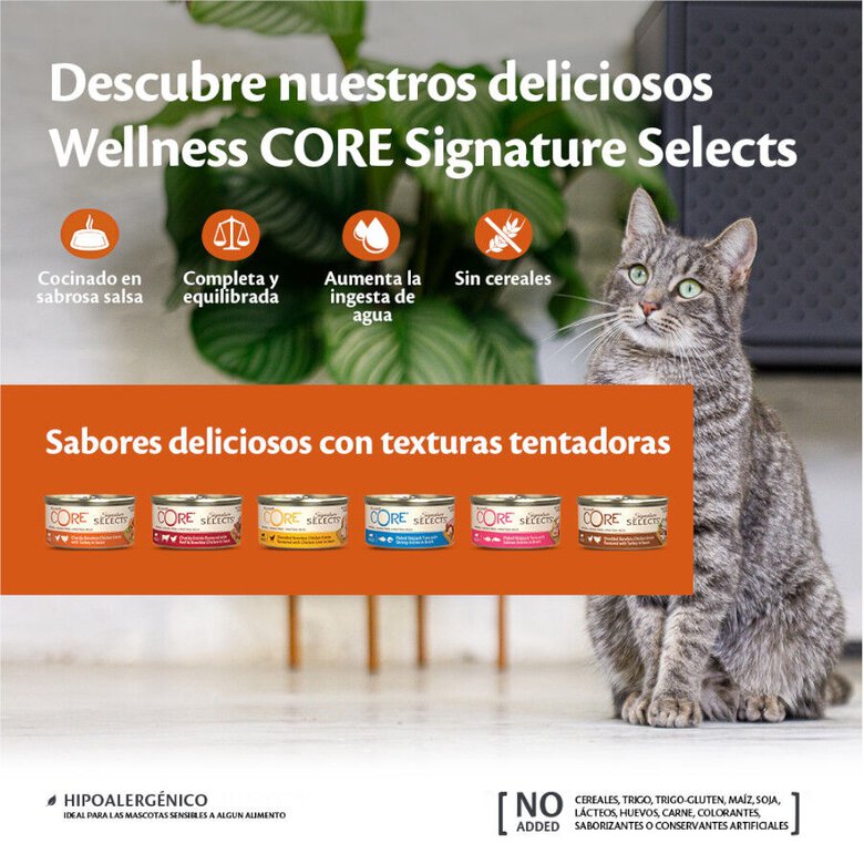 79 g Wellness Core Flaked atum lata para gatos,  Imagem número 3 79 g Wellness Core Flaked atum lata para gatos, , large Imagem número 3