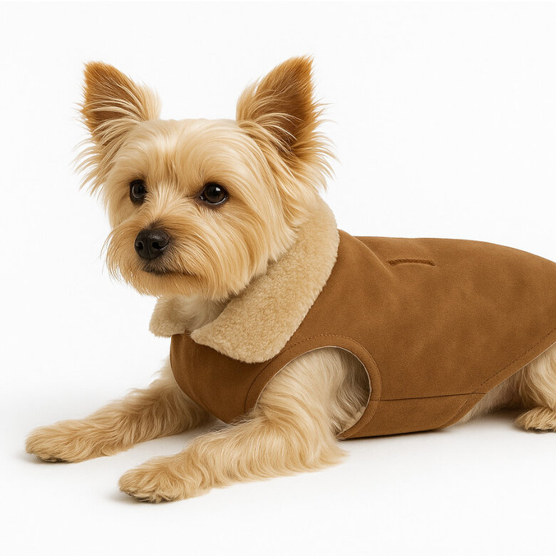Outech Casaco Impermeável para cães,  Imagem número 3 Outech Casaco Impermeável para cães, , large Imagem número 3