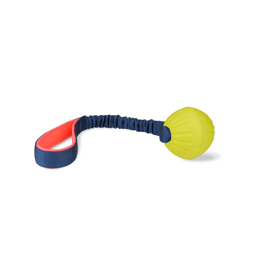 Coachi Tuggi Ball brinquedo para c&atilde;es, , large Imagem n&uacute;mero 1