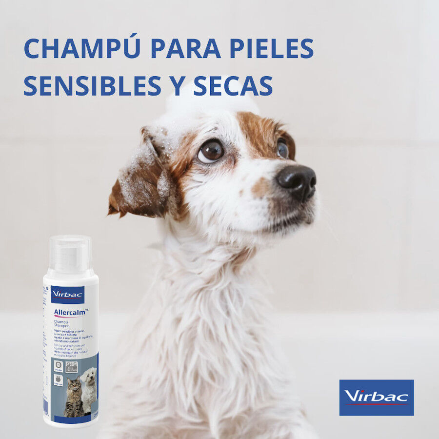 Allercalm dog shampoo online