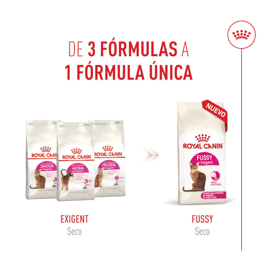 10 kg Royal Canin Fussy Exigent Ra&ccedil;&atilde;o de ave para gatos, , large Imagem n&uacute;mero 2