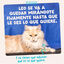85 g Edgard & Cooper Comida h&uacute;mida de atum e frango em molho em saquetas para gatos, , large Indicador imagem n&uacute;mero 10